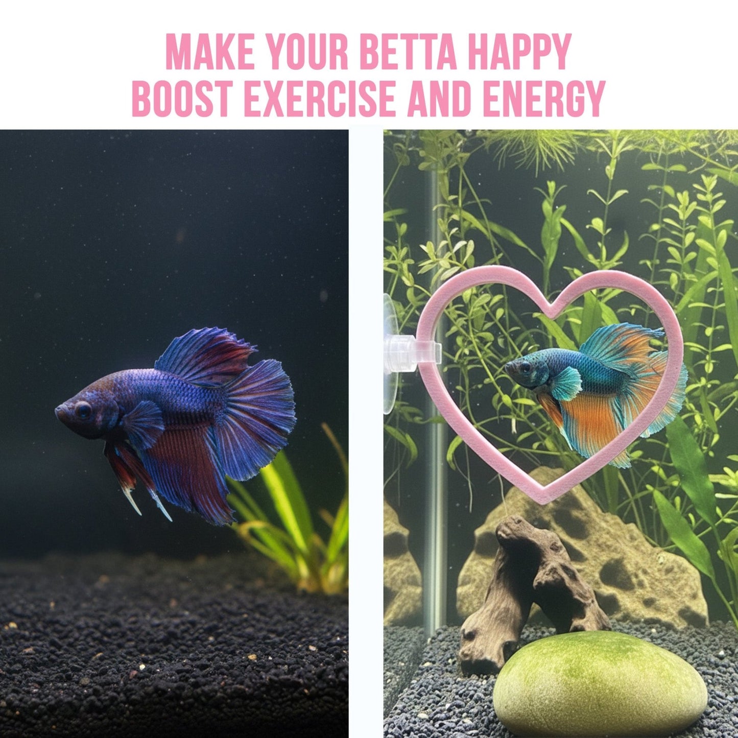 Heart Swim Rings – Betta Exercise Toy 2 Pack - Wild Pet Supply