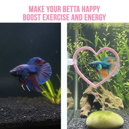 Heart Swim Rings – Betta Exercise Toy 2 Pack - Wild Pet Supply