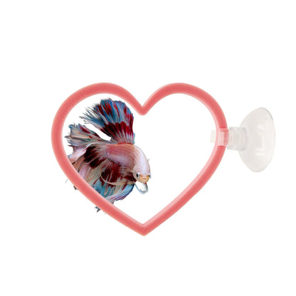 Heart Swim Rings – Betta Exercise Toy 2 Pack - Wild Pet Supply