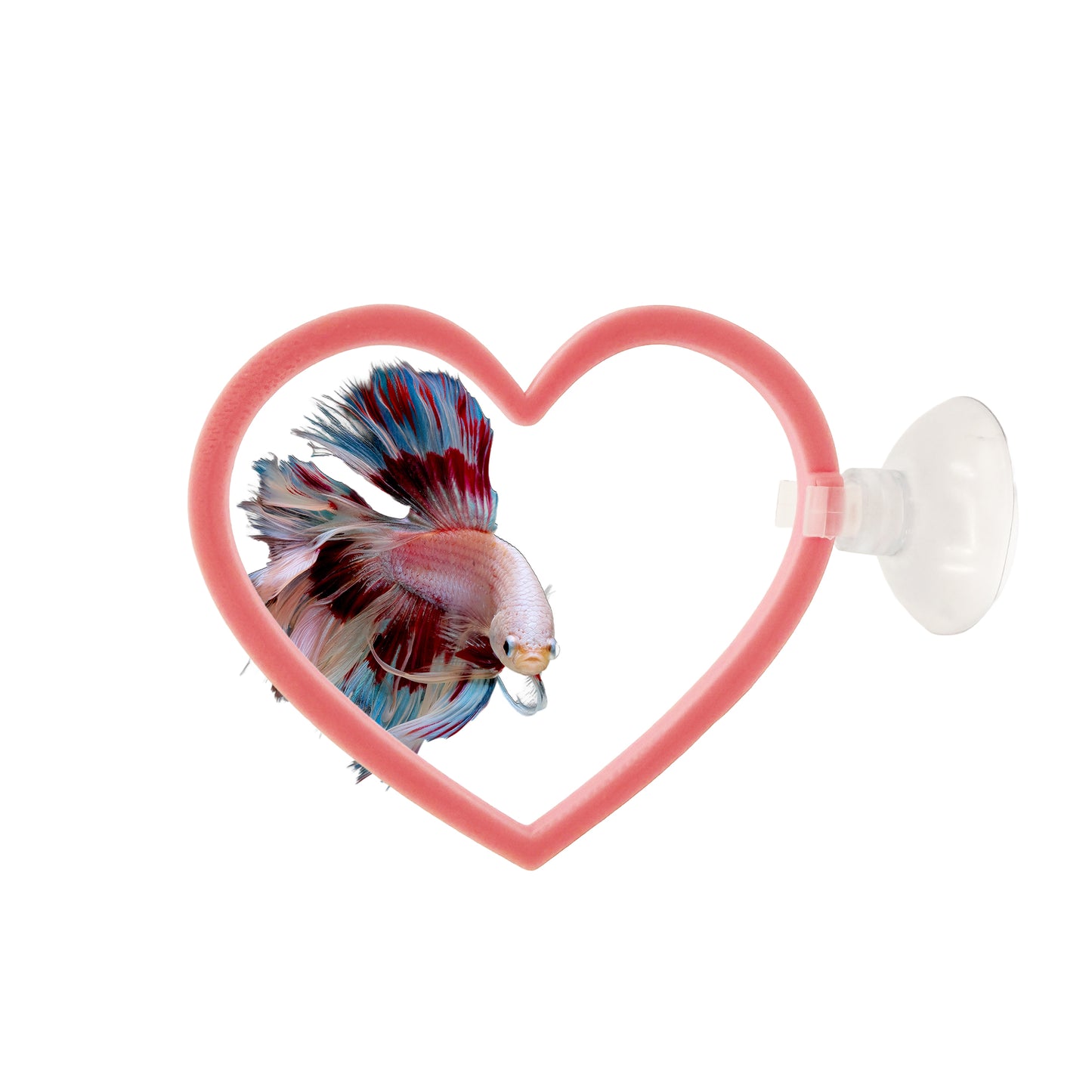 Heart Swim Rings – Betta Exercise Toy 2 Pack