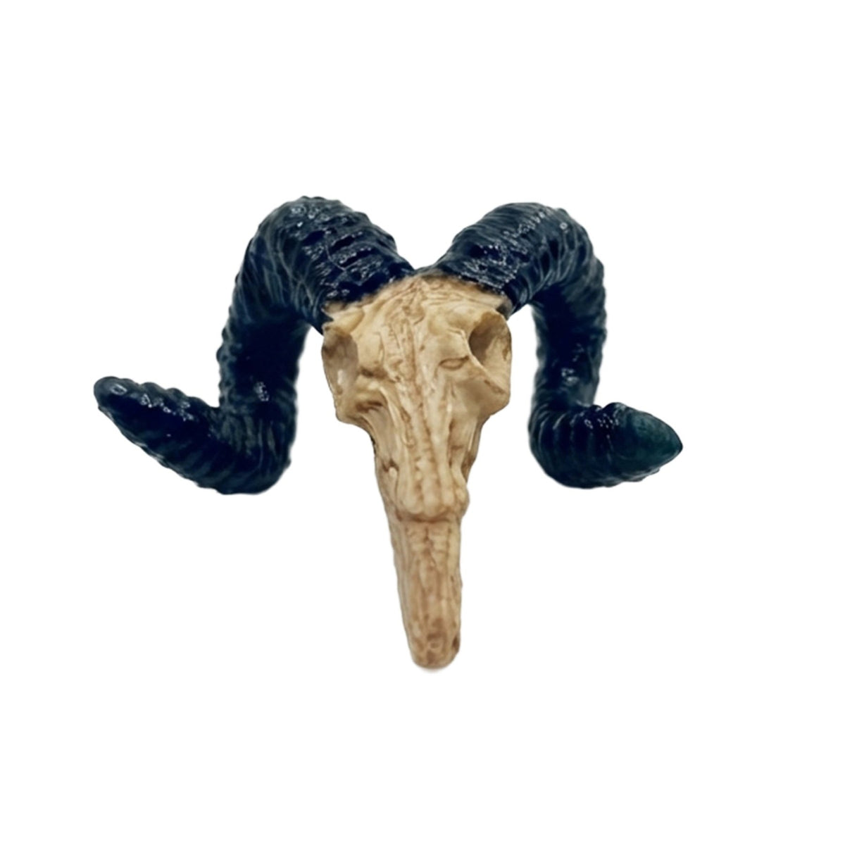 Horned Ram Skull – Nano Tank Decor - Wild Pet Supply