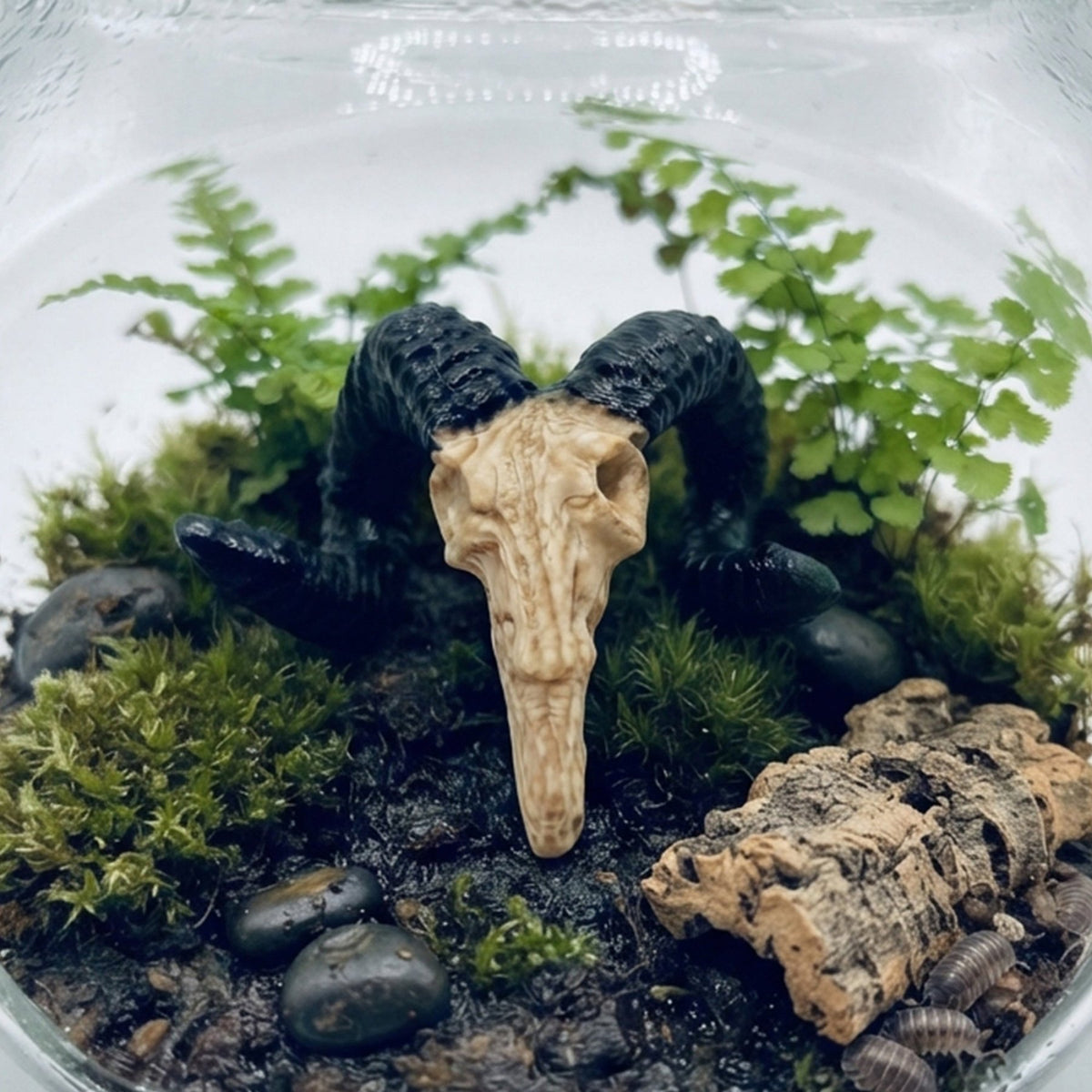 Horned Ram Skull – Nano Tank Decor - Wild Pet Supply