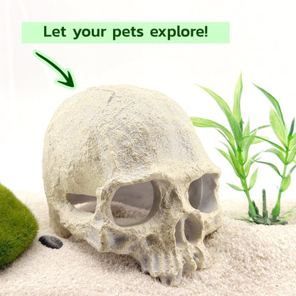 Human Skull Hideout – Aquarium Cave Decor - Wild Pet Supply