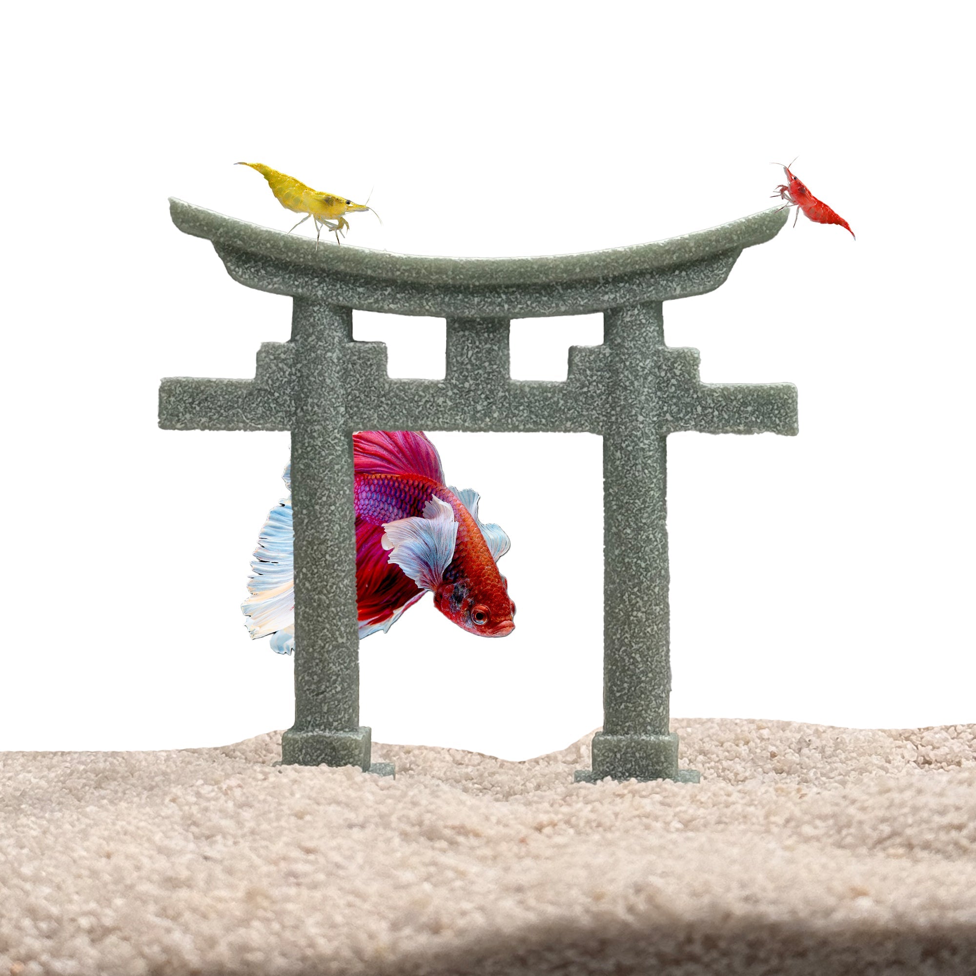 Japanese Shinto Torii Gate – Asian Aquarium Decor, Sandstone Fish Tank Shrine Ornament, Betta & Aquatic Hideout - Wild Pet Supply