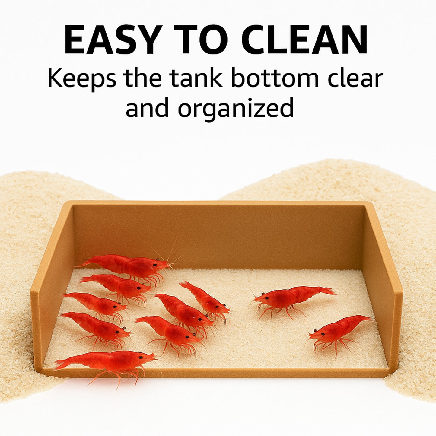 Feeding Cove Barrier – Substrate Retention Wall