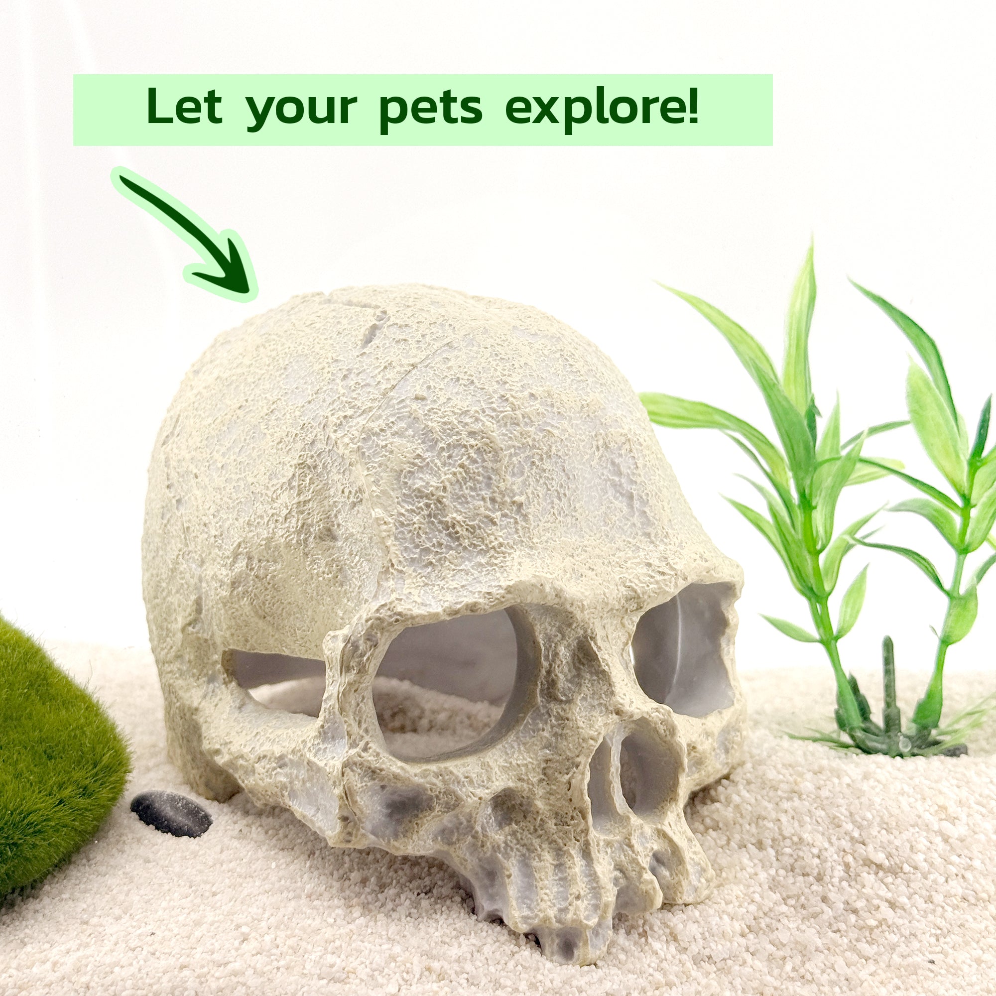 Human Skull Aquarium Decor – Resin Sinking Hide for Betta Fish, Shrimp & Small Aquatic Pets