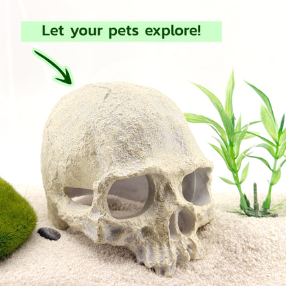 Human Skull Hideout – Aquarium Cave Decor
