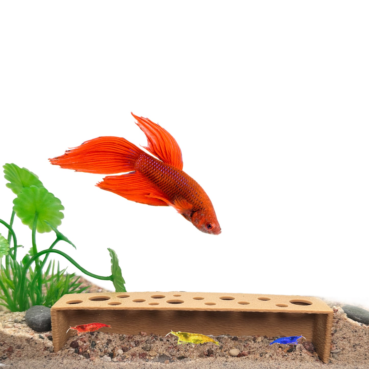 Slim Shrimp Breeding Cave – Low Profile