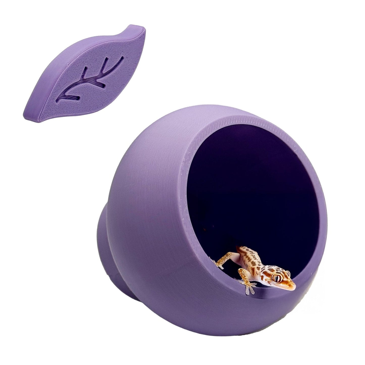 Magnetic Leaf Pod Hide – Glass - Mounted Frog & Reptile Shelter (Small) - Wild Pet Supply