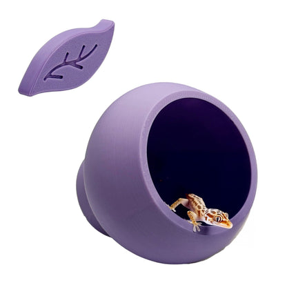 Magnetic Leaf Pod Hide – Glass - Mounted Frog & Reptile Shelter (Small) - Wild Pet Supply