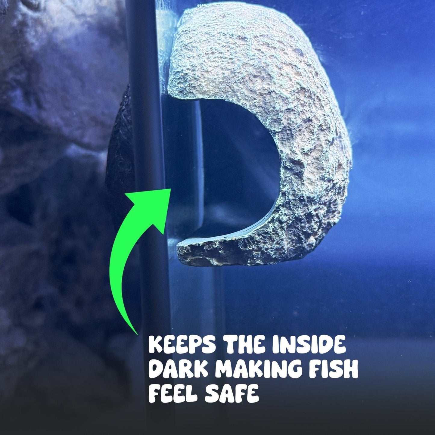 Magnetic Rock Cave – Viewing Window Hide - Wild Pet Supply