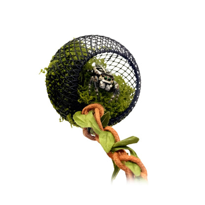 Magnetic Spider Bulb Hide – Vine & Moss Set - Wild Pet Supply