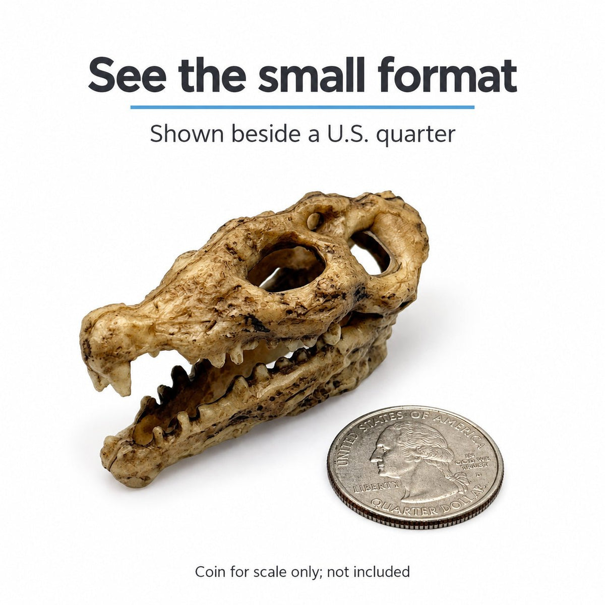 Nano Crocodile Skull Decoration - Wild Pet Supply