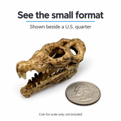 Nano Crocodile Skull Decoration - Wild Pet Supply