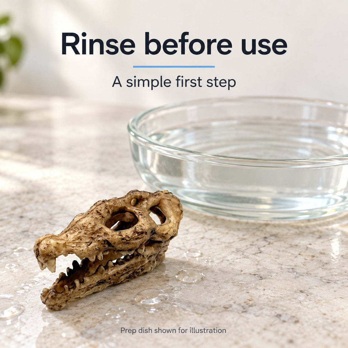 Nano Crocodile Skull Decoration - Wild Pet Supply