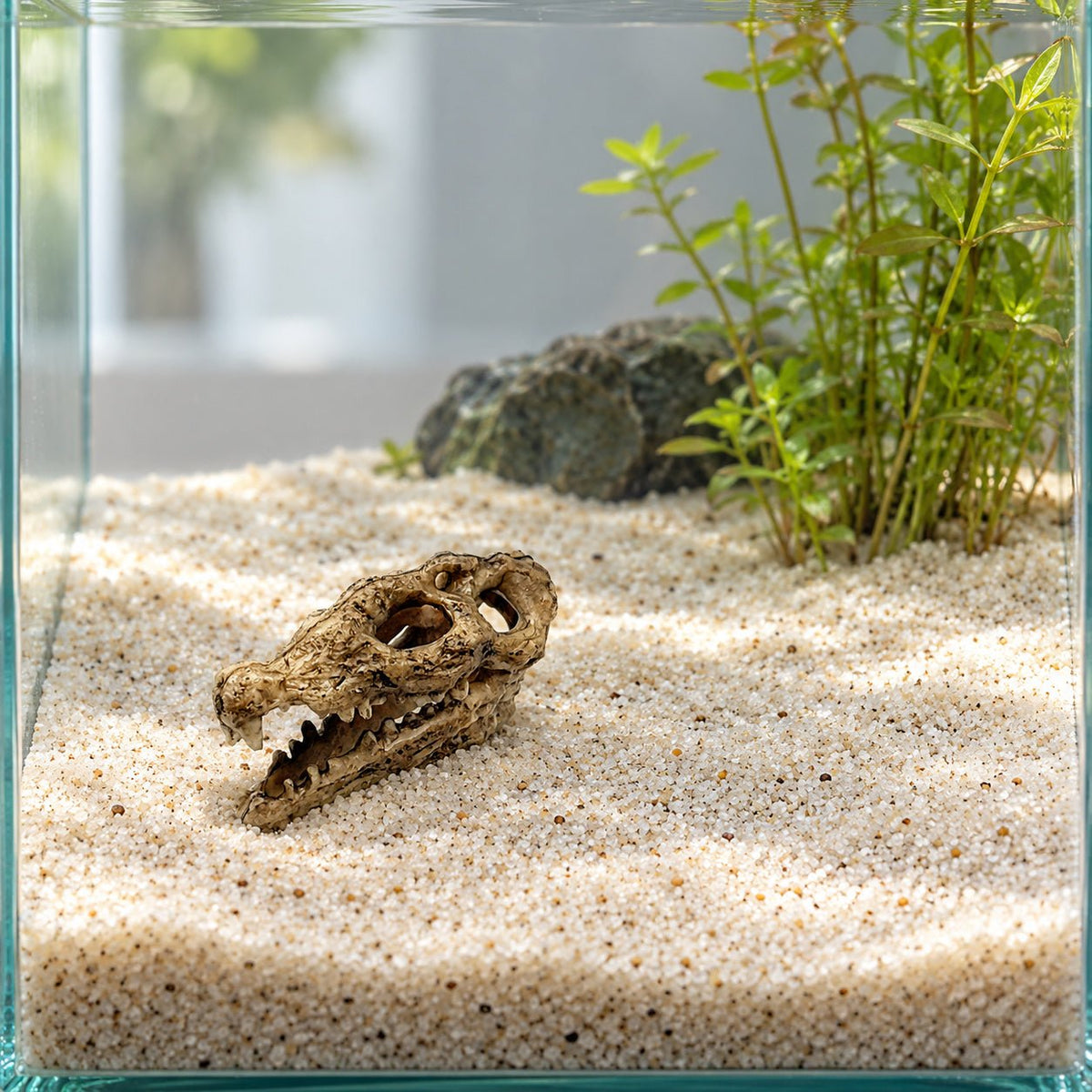 Nano Crocodile Skull Decoration - Wild Pet Supply