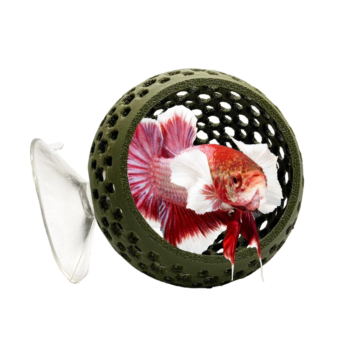 Natural Bulb Bulb – Suction Cup Betta Hide - Wild Pet Supply