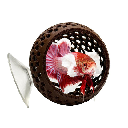Natural Bulb Bulb – Suction Cup Betta Hide - Wild Pet Supply