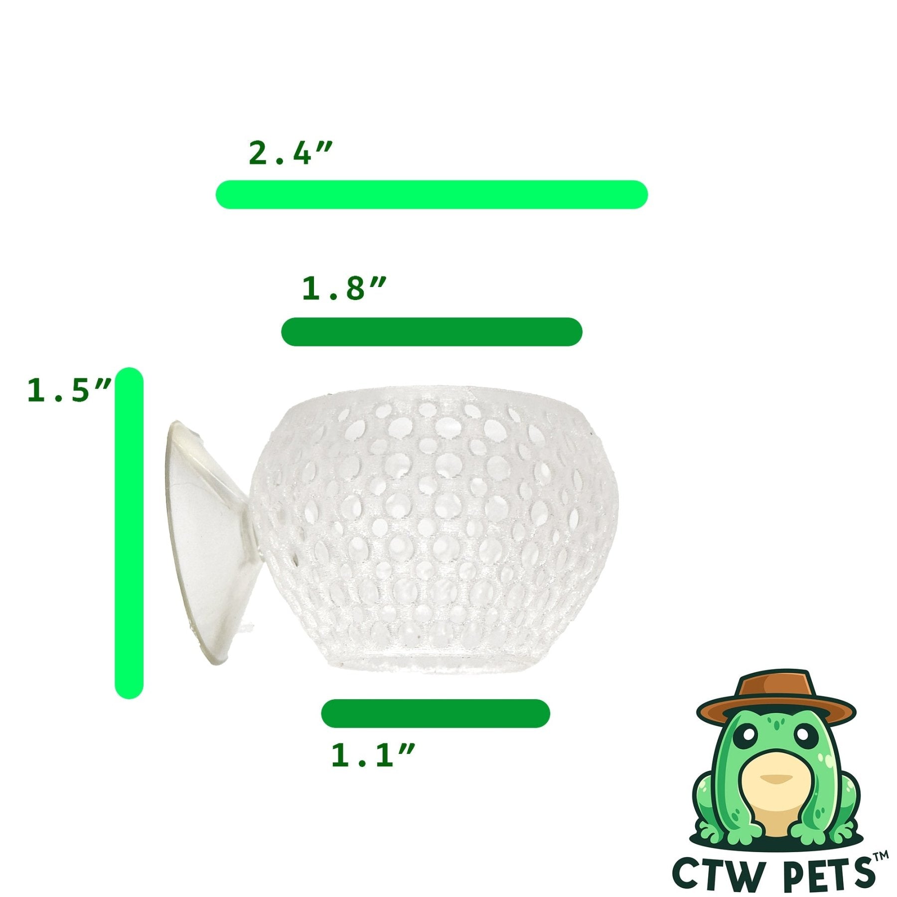 Natural Bulb Bulb – Suction Cup Betta Hide - Wild Pet Supply