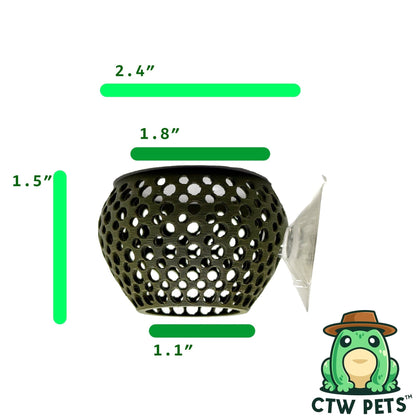 Natural Bulb Bulb – Suction Cup Betta Hide - Wild Pet Supply