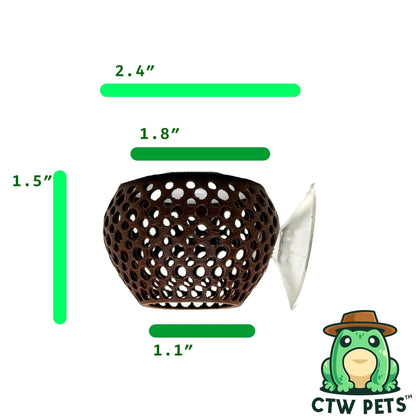 Natural Bulb Bulb – Suction Cup Betta Hide - Wild Pet Supply
