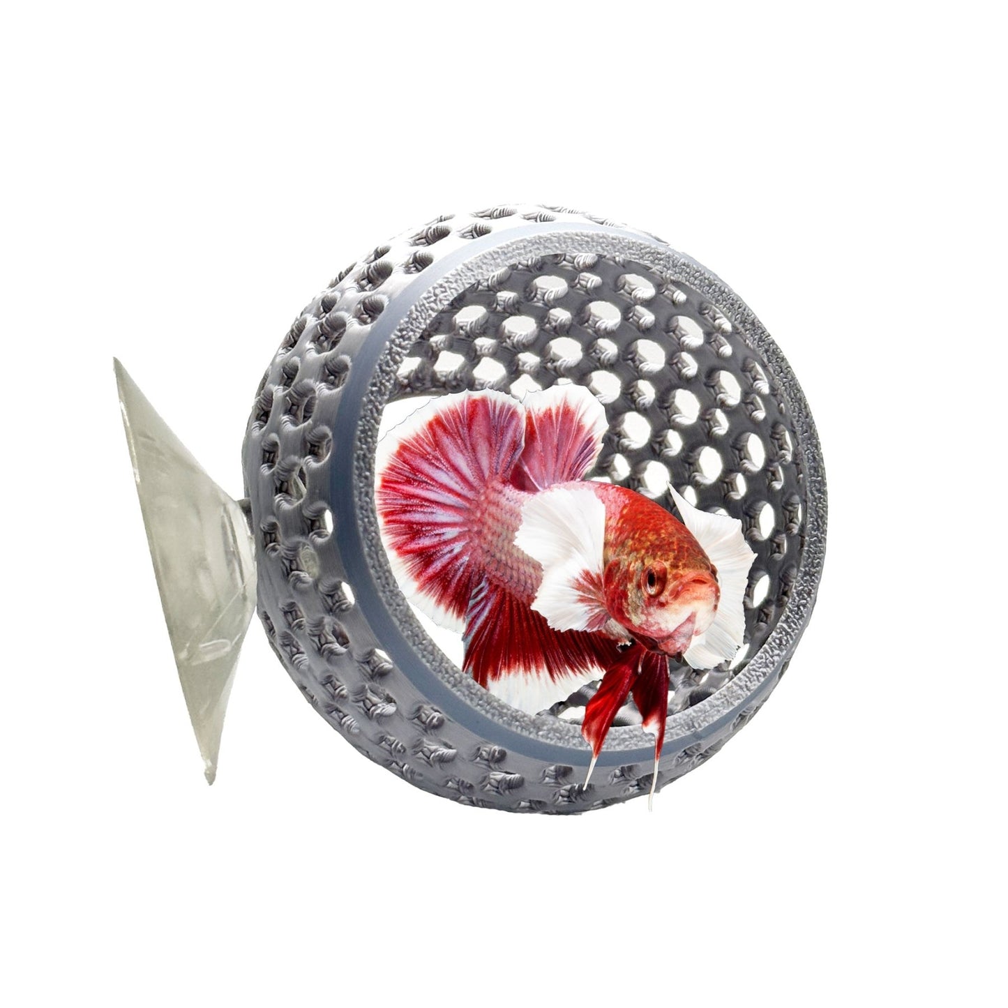 Natural Bulb Bulb – Suction Cup Betta Hide - Wild Pet Supply
