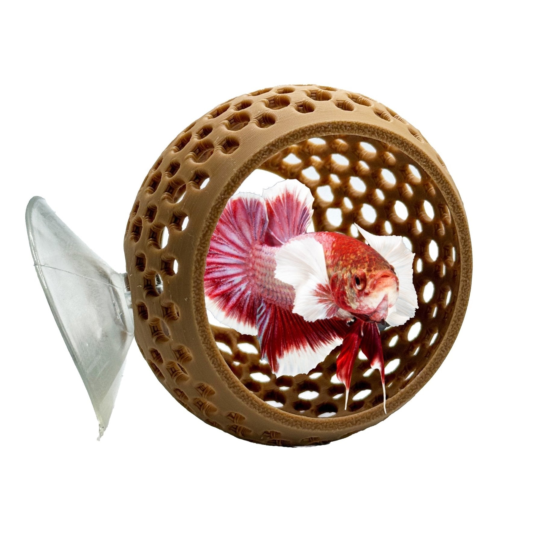 Natural Bulb Bulb – Suction Cup Betta Hide - Wild Pet Supply