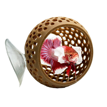 Natural Bulb Bulb – Suction Cup Betta Hide - Wild Pet Supply