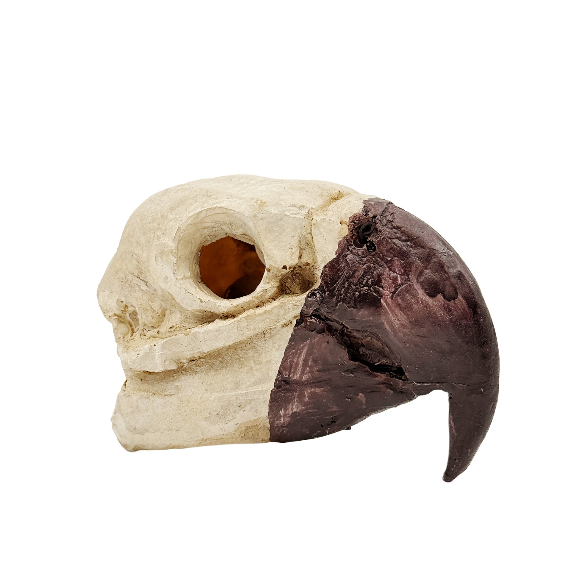 Bird Skull Hide – Jungle Terrarium Decor