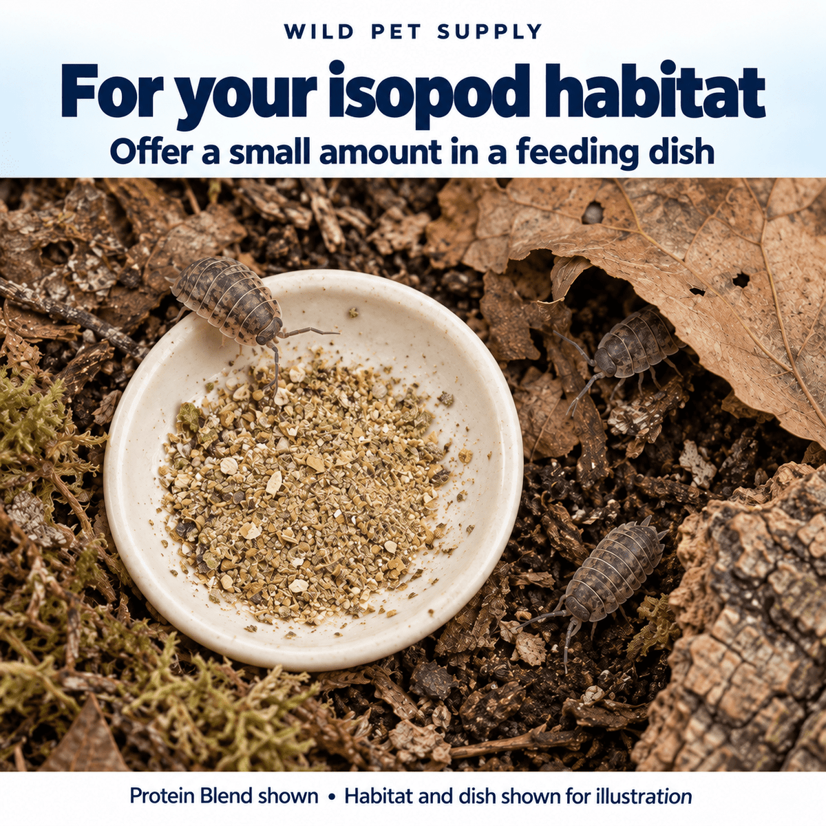 Premium Isopod Millipede Powder Food - Wild Pet Supply