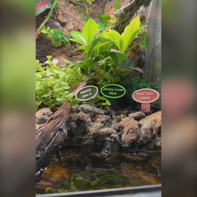 Custom Terrarium & Aquarium Sign | Named Pet Sign Perfect For Geckos, Frogs, Betta Fish