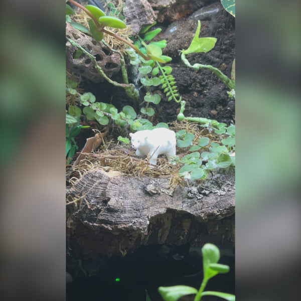 Terrarium Polar Bear Nano Decor Reptile Safe | Random 1pack