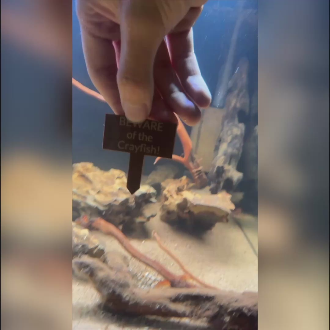 Custom Sinking Aquarium Sign