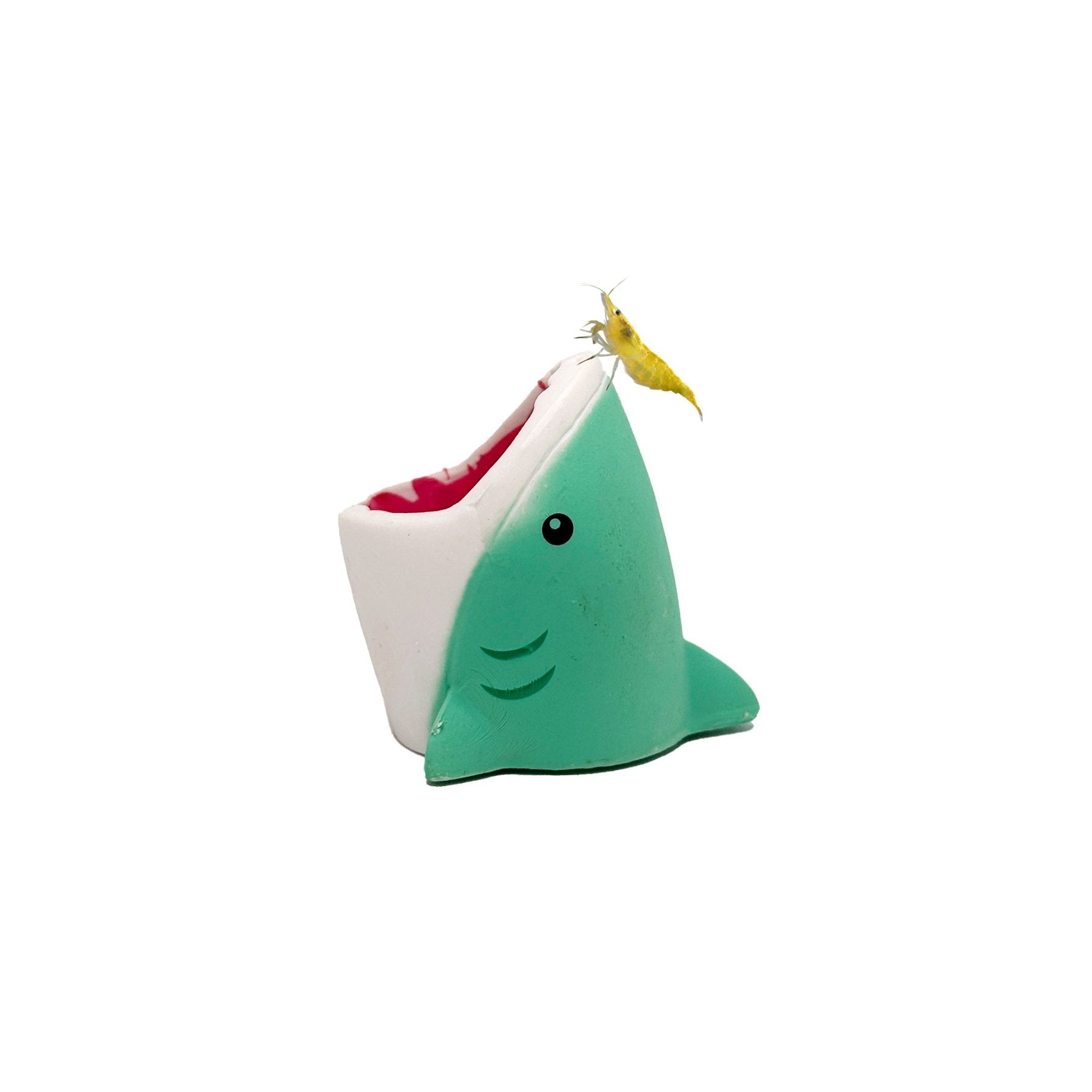 Shark Head Aquarium Decoration – Resin Fish Tank Ornament for Bettas, Shrimp & Small Aquatic Pets - Wild Pet Supply