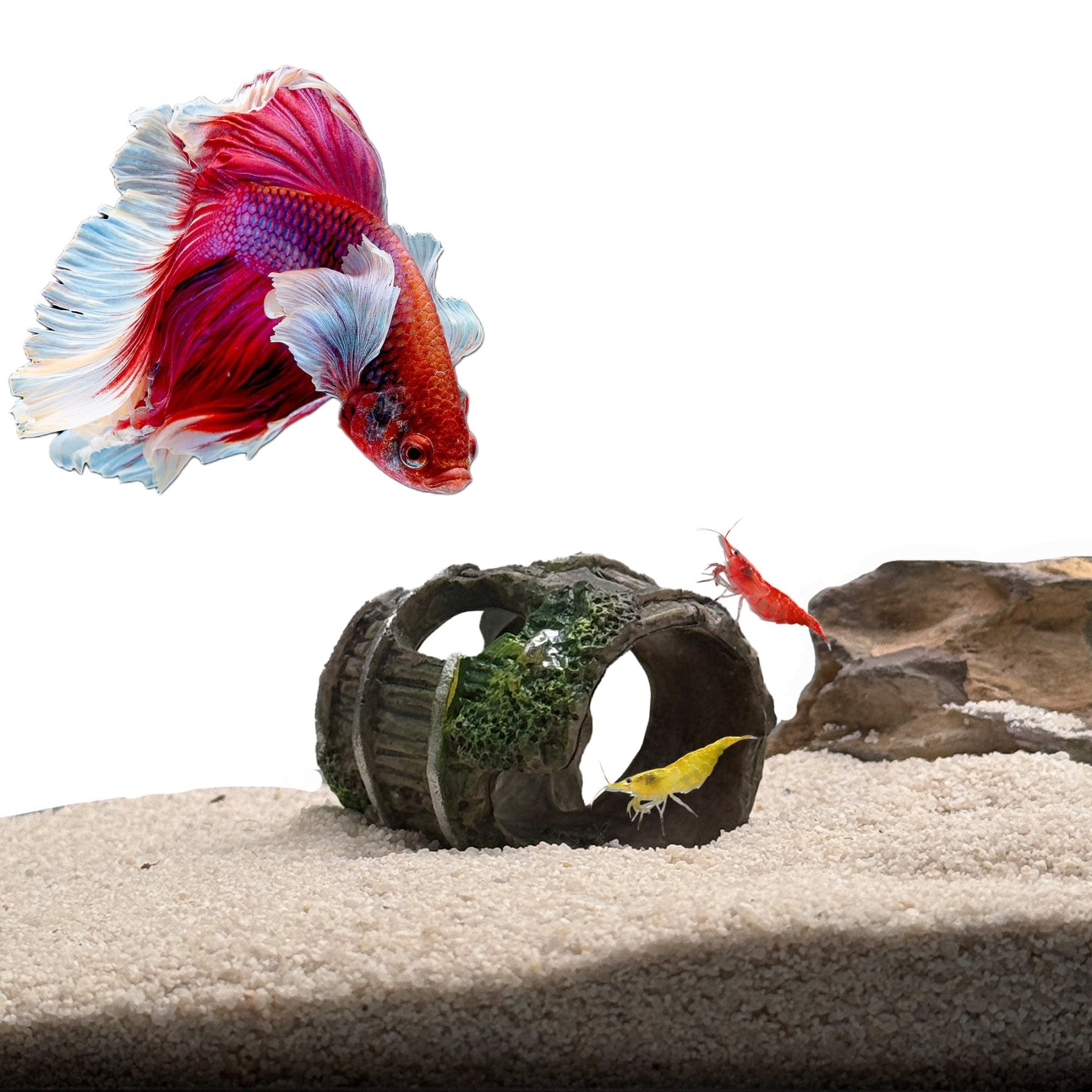 Shrimp & Betta Barrel Hide – Sinking Resin Aquarium Cave for Shrimp, Betta Fish & Small Aquatic Pets - Wild Pet Supply