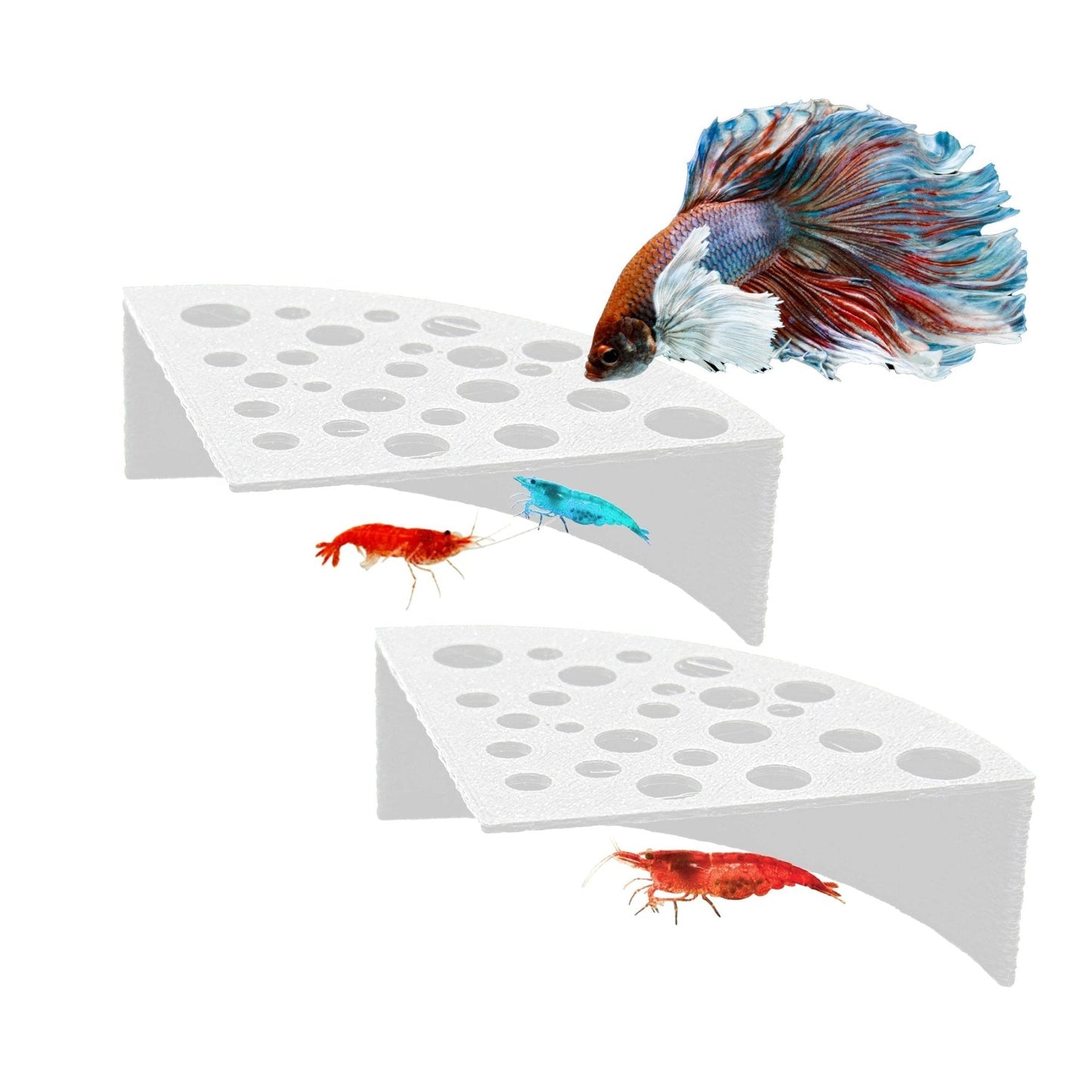 Shrimp Breeding Cave – Fish-Block Design - Wild Pet Supply