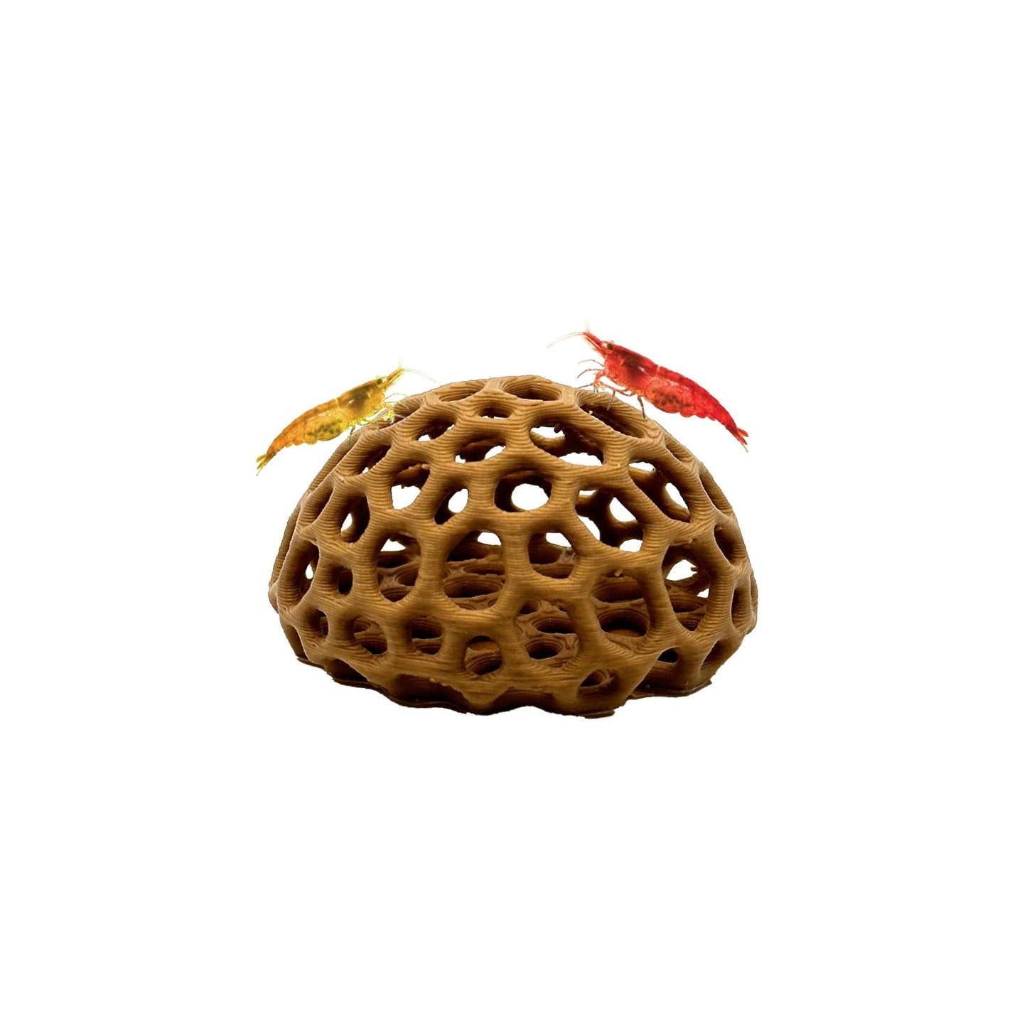Shrimp Dome Hide – Natural Breeding Cave - Wild Pet Supply