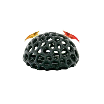 Shrimp Dome Hide – Natural Breeding Cave - Wild Pet Supply
