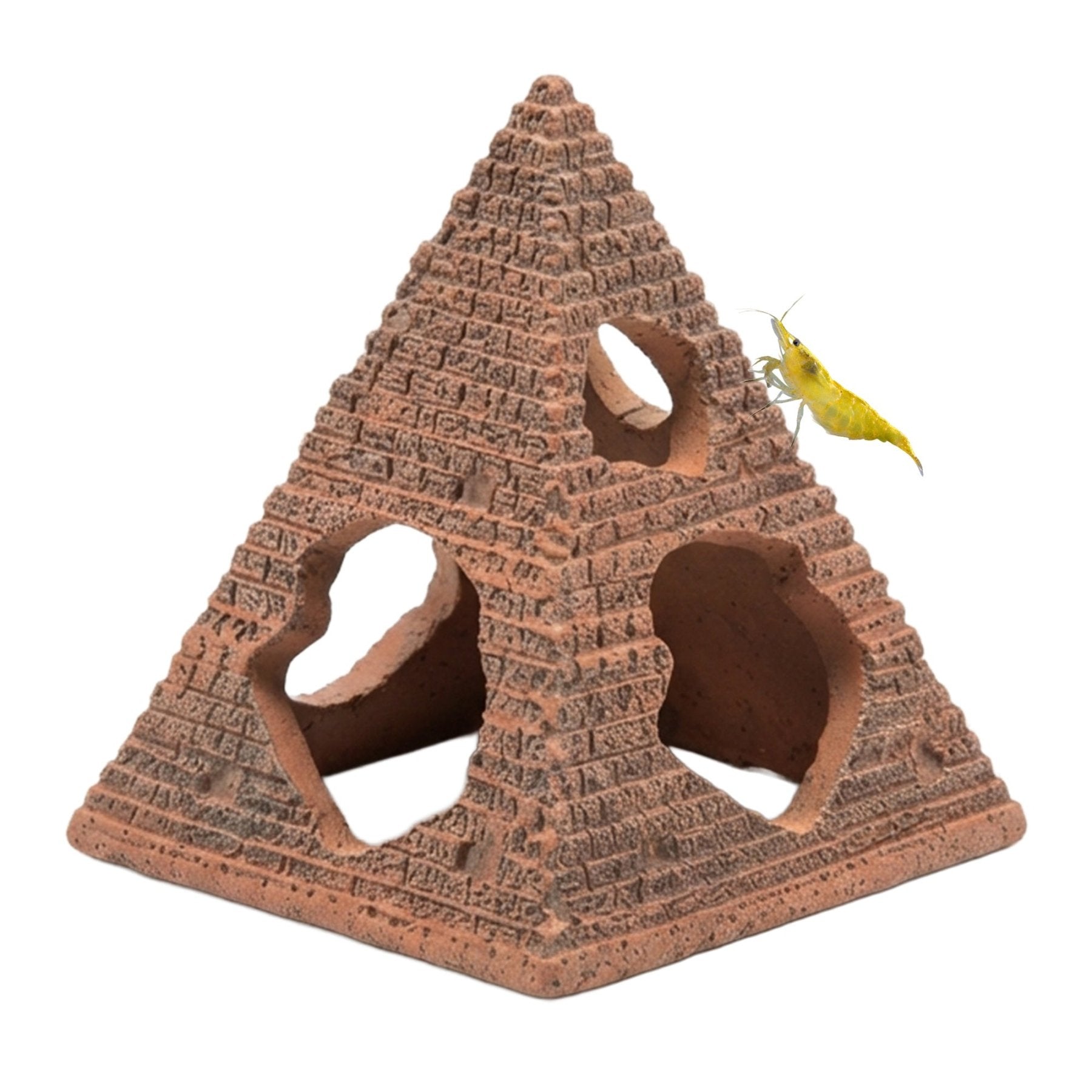 Shrimp Pyramid Hide – 3.2 Inch Cave - Wild Pet Supply