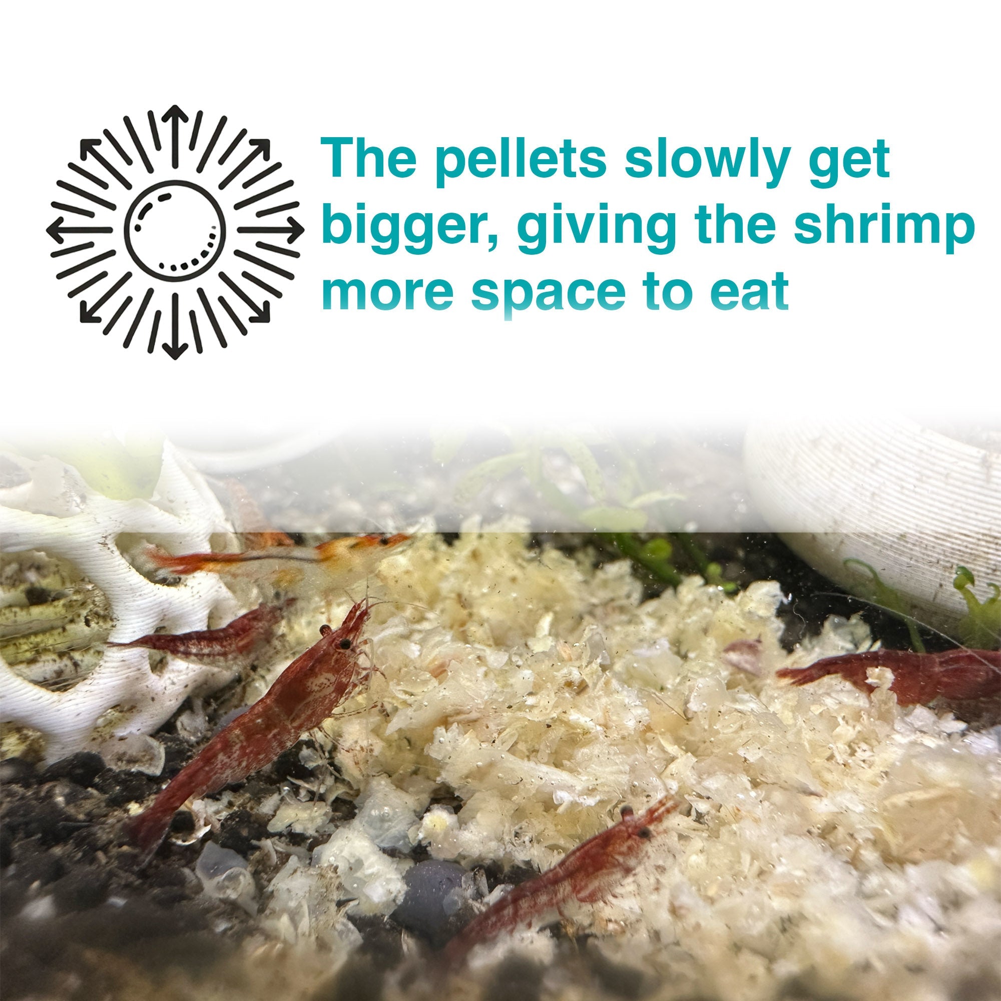 Shrimp Snow Flake Pellet Food - Wild Pet Supply