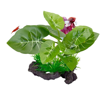 Silk Betta Plant – Natural Driftwood Base - Wild Pet Supply