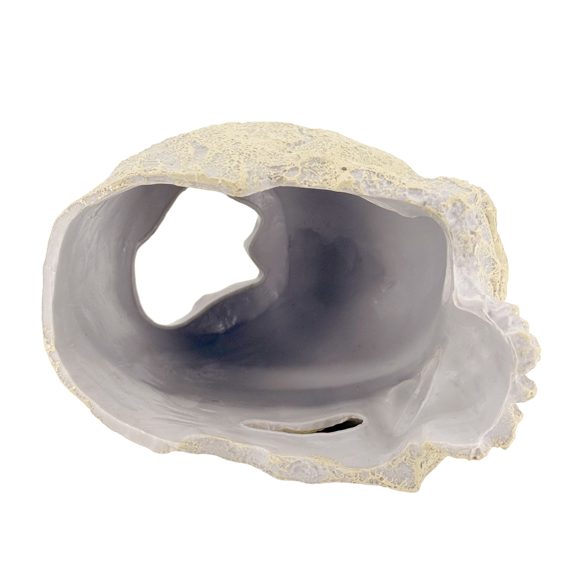 Human Skull Aquarium Decor – Resin Sinking Hide for Betta Fish, Shrimp & Small Aquatic Pets