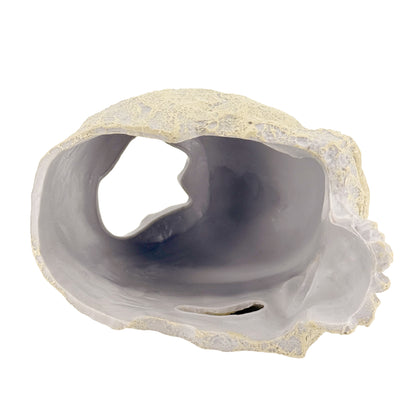 Human Skull Hideout – Aquarium Cave Decor