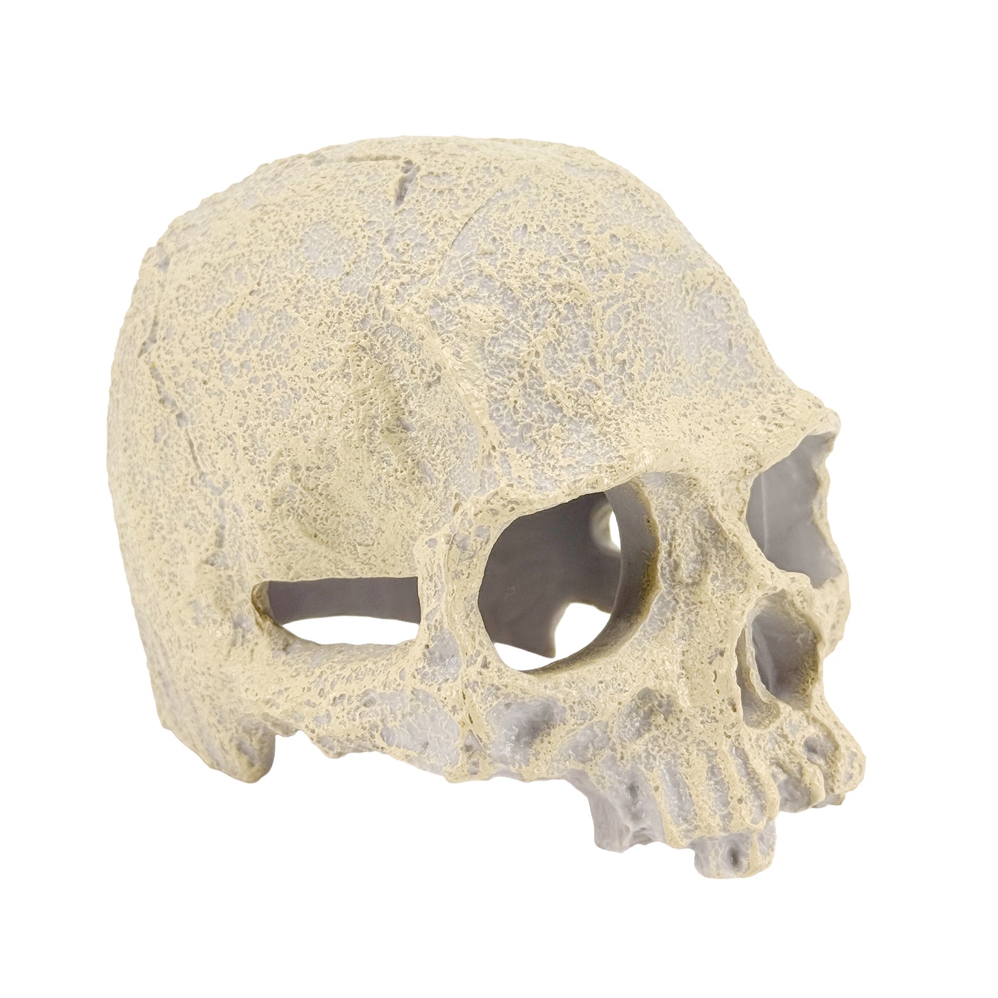 Human Skull Hideout – Aquarium Cave Decor