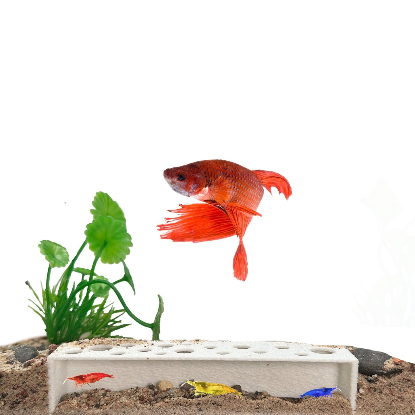 Slim Shrimp Breeding Cave – Low Profile - Wild Pet Supply