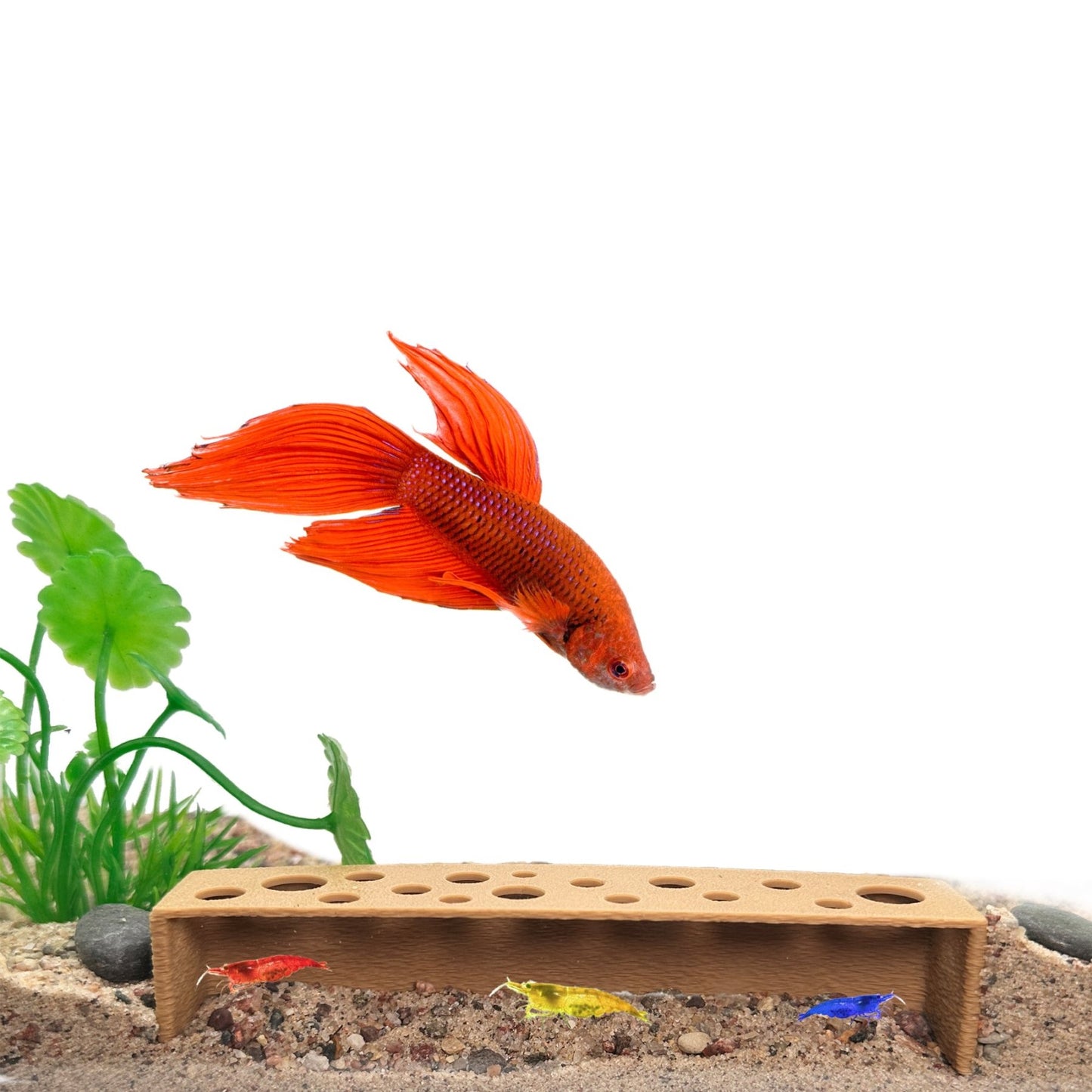 Slim Shrimp Breeding Cave – Low Profile - Wild Pet Supply
