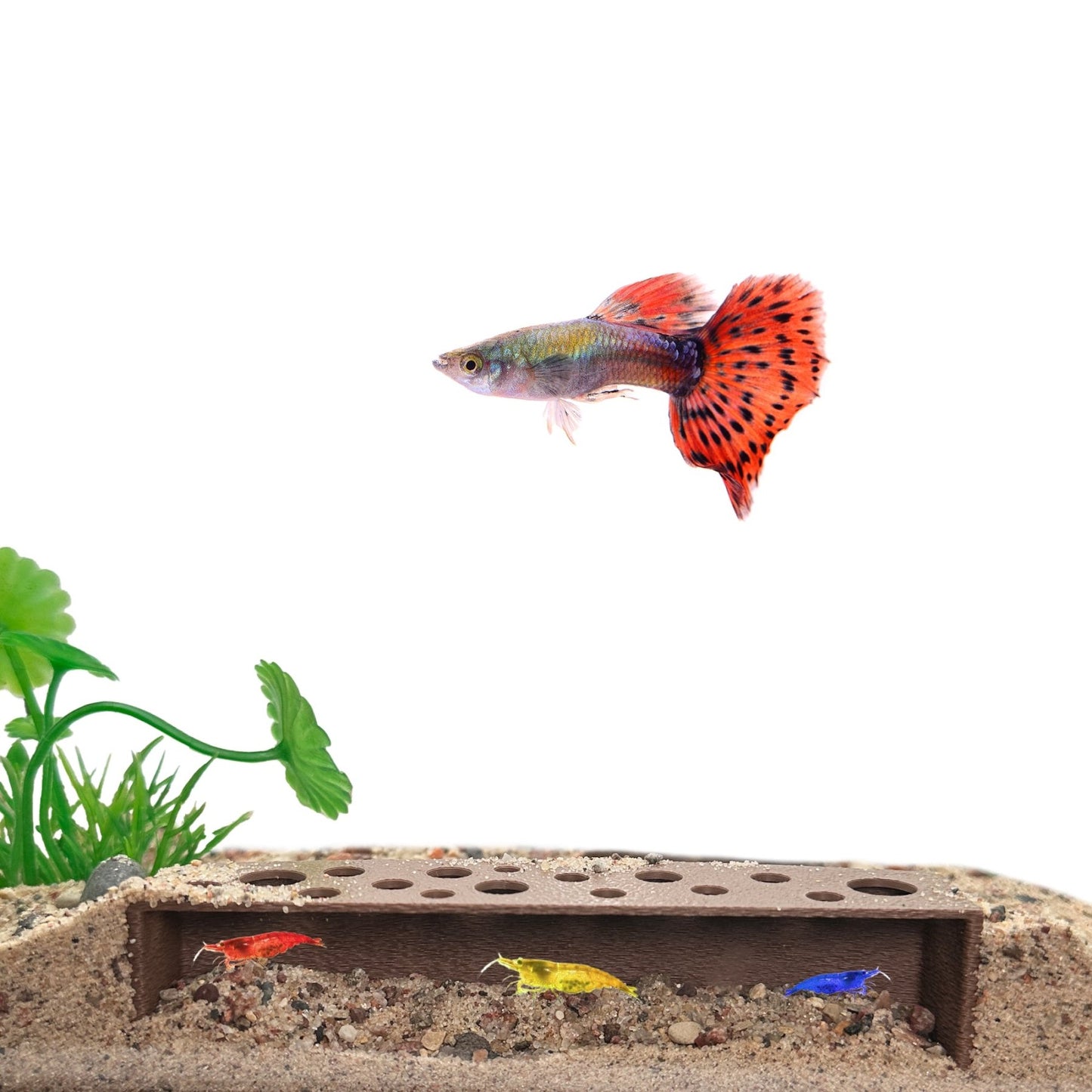 Slim Shrimp Breeding Cave – Low Profile - Wild Pet Supply