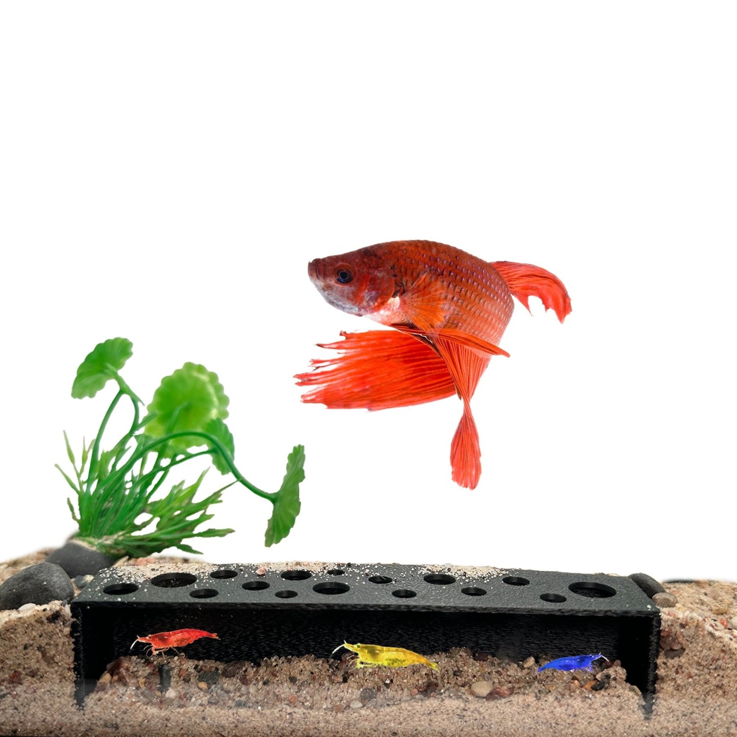 Slim Shrimp Breeding Cave – Low Profile - Wild Pet Supply