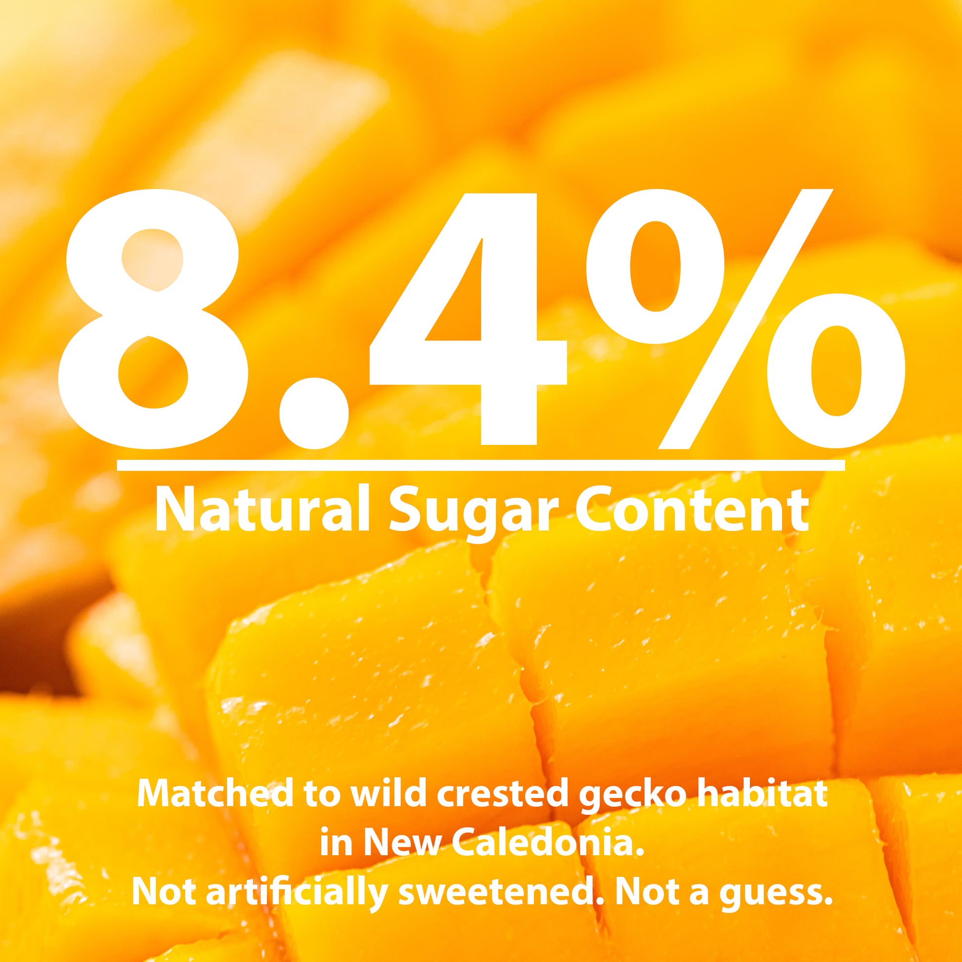 Gecko Nectar Treat – Liquid Fruit Drops