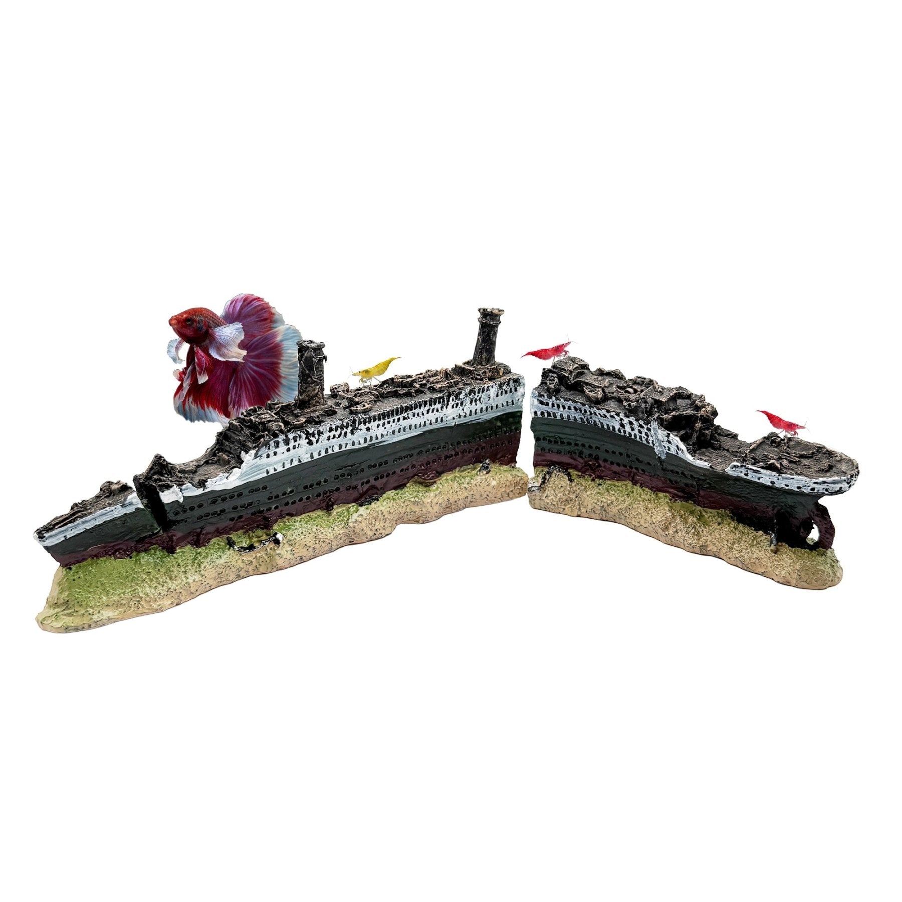 Titanic Shipwreck Ornament – 13 Inch Set - Wild Pet Supply